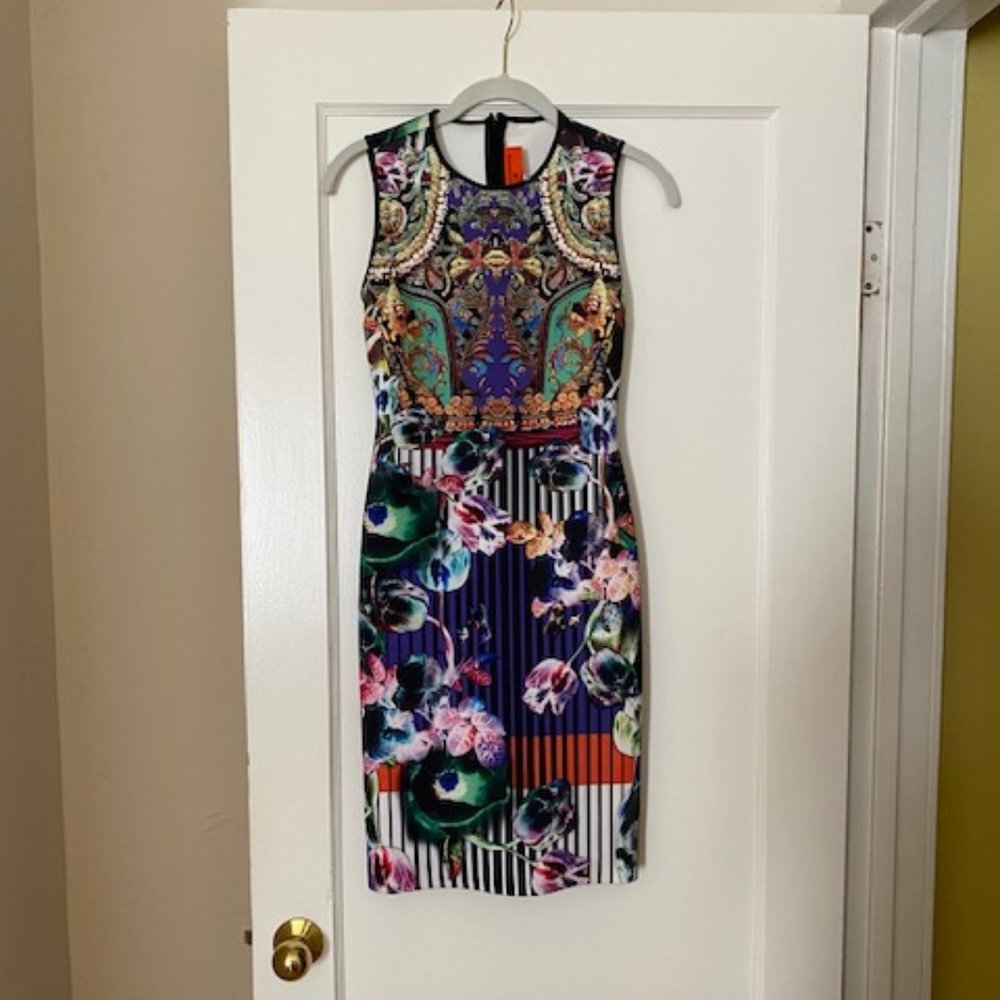 Clover Canyon Bodycon Dress